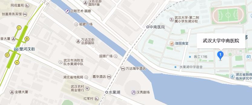 去武汉中南医院在汉口火车站只坐地铁怎么走（坐地铁怎么去武汉中南剧院）