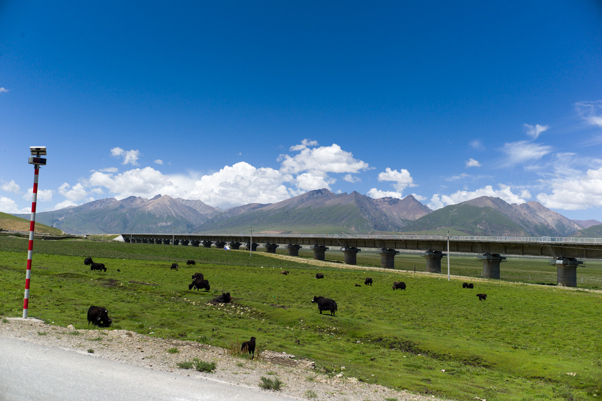 西藏境内有几条铁路（西藏铁路）