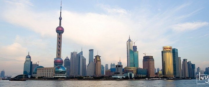 上海的主要旅游景点有哪些（上海植物园旅游攻略）